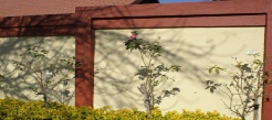 Pre Cast Walls