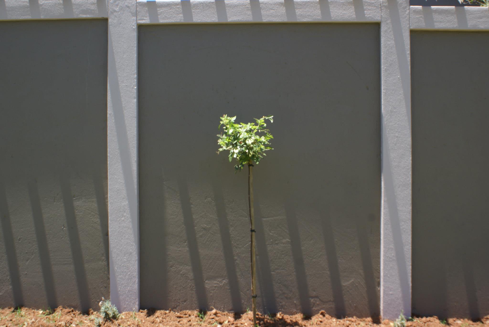 Pre Cast Walls